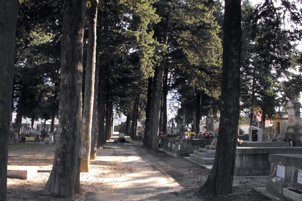 allée centrale du cimetière